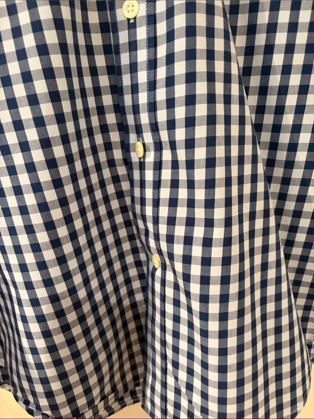 Banana Republic Blue and light blue Gingham Button-Down Shirt